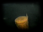 012 Smelter